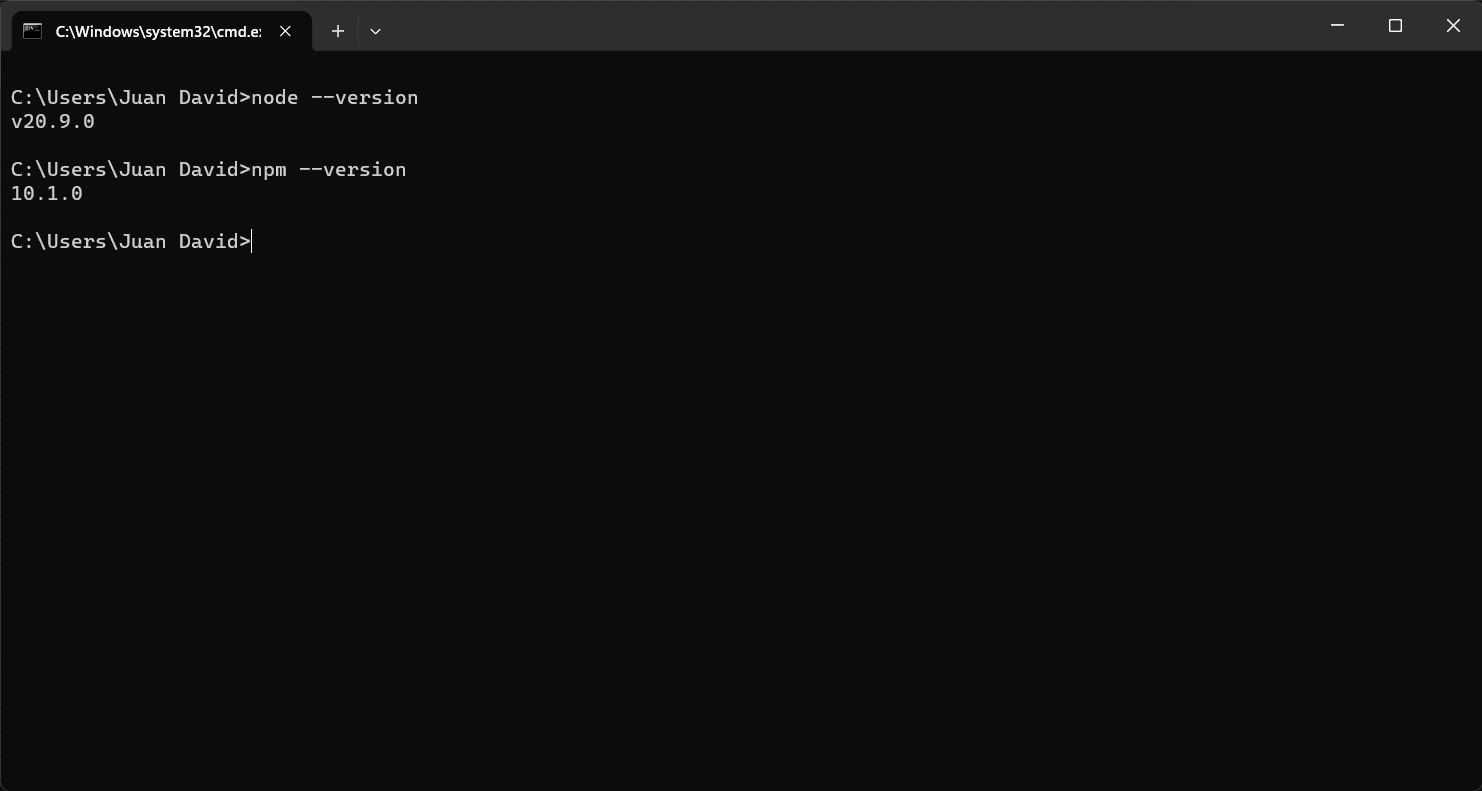 imprimiendo en la consola la version de node y npm